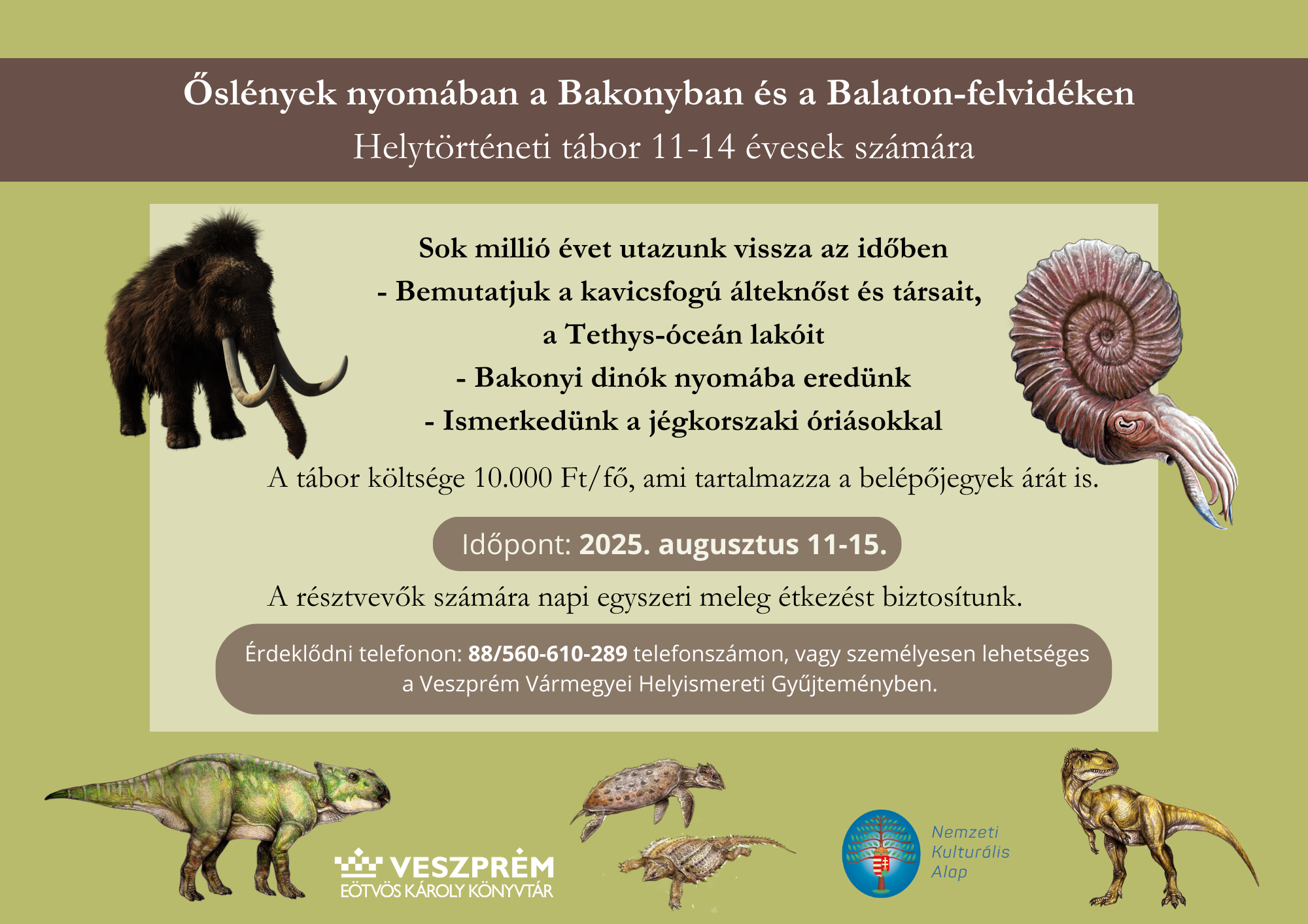 helyismeretitábor