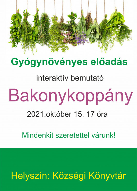 bakonykoppany_1015 (1)_1.jpg