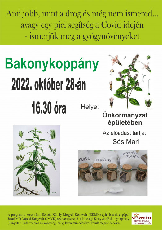 bakonykoppany_szarvaskor_gyogyfuves (1)_1.jpg