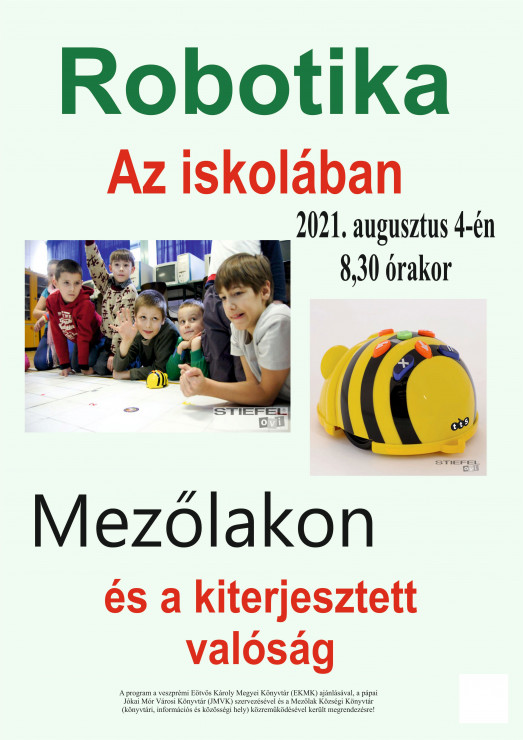 mezolak_0804 (6)_1.jpg