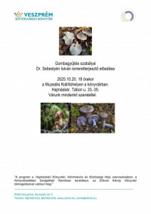 hajmasker_gomba (1)_01.jpg