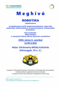 penzesgyor_robotika_01.jpg