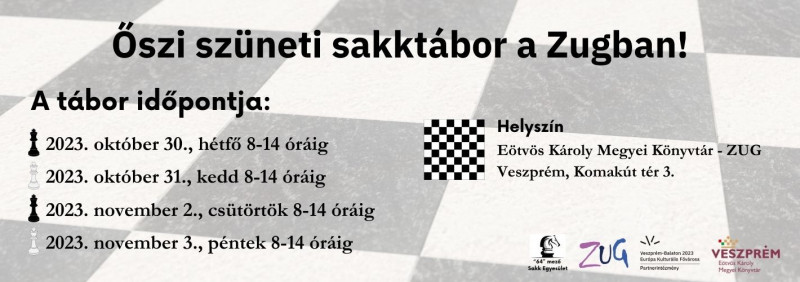 sakktábor banner.jpg