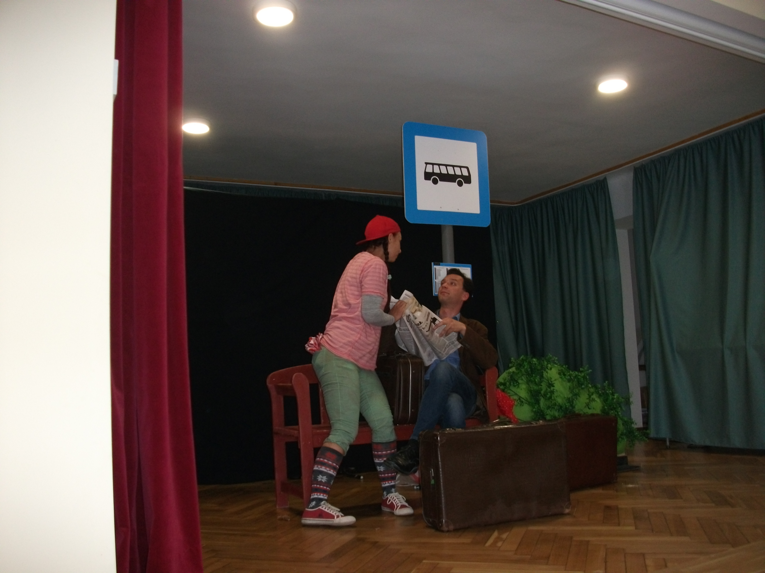 kisapati 0529 1