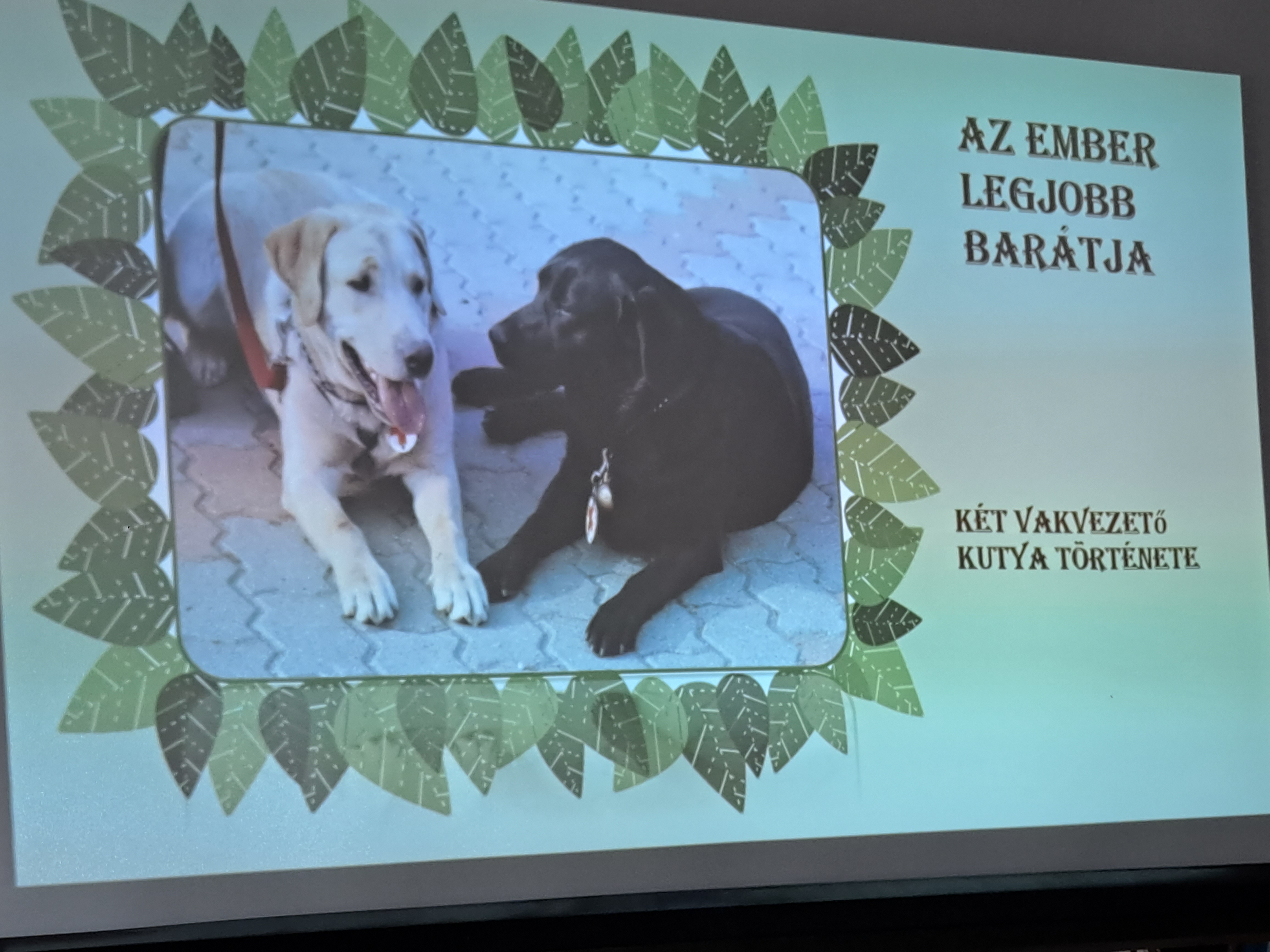 ukk telegdiagnes 1