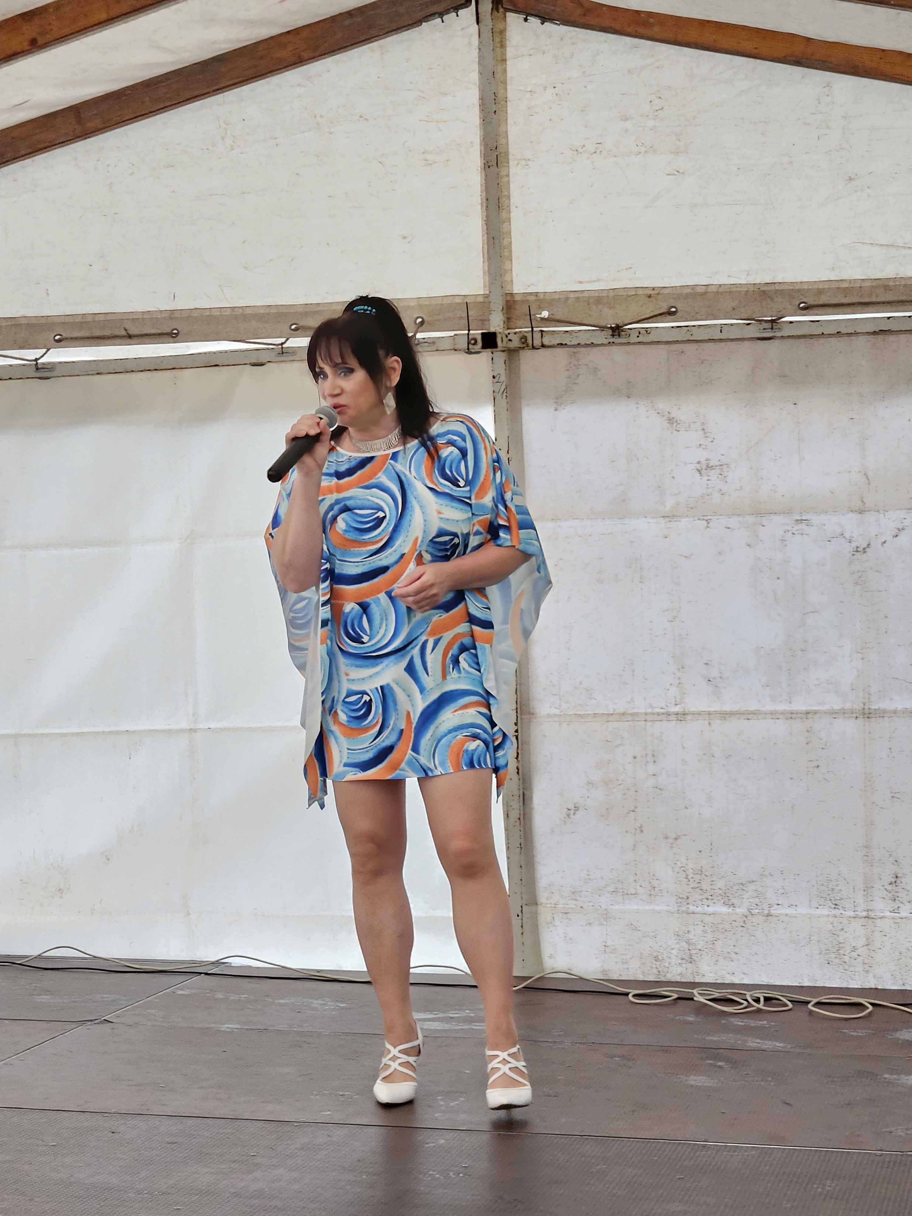 dobronte hollenczeranita 1