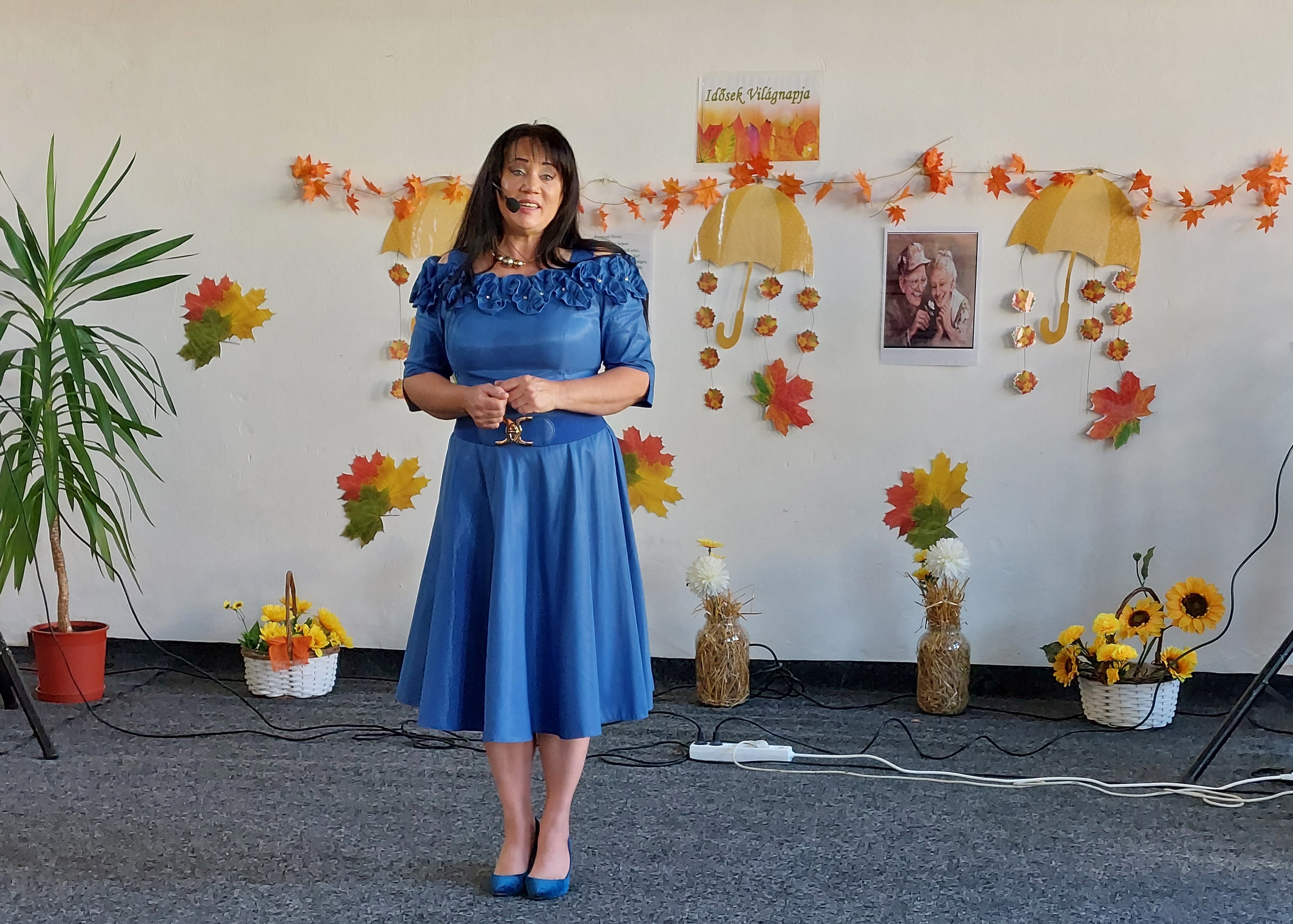 malomsok hollenczeranita 2