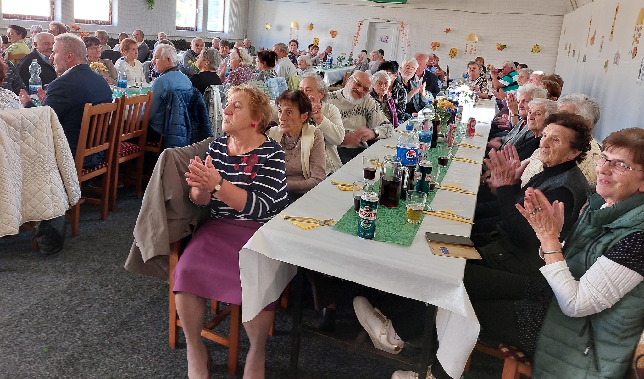 malomsok hollenczeranita 3