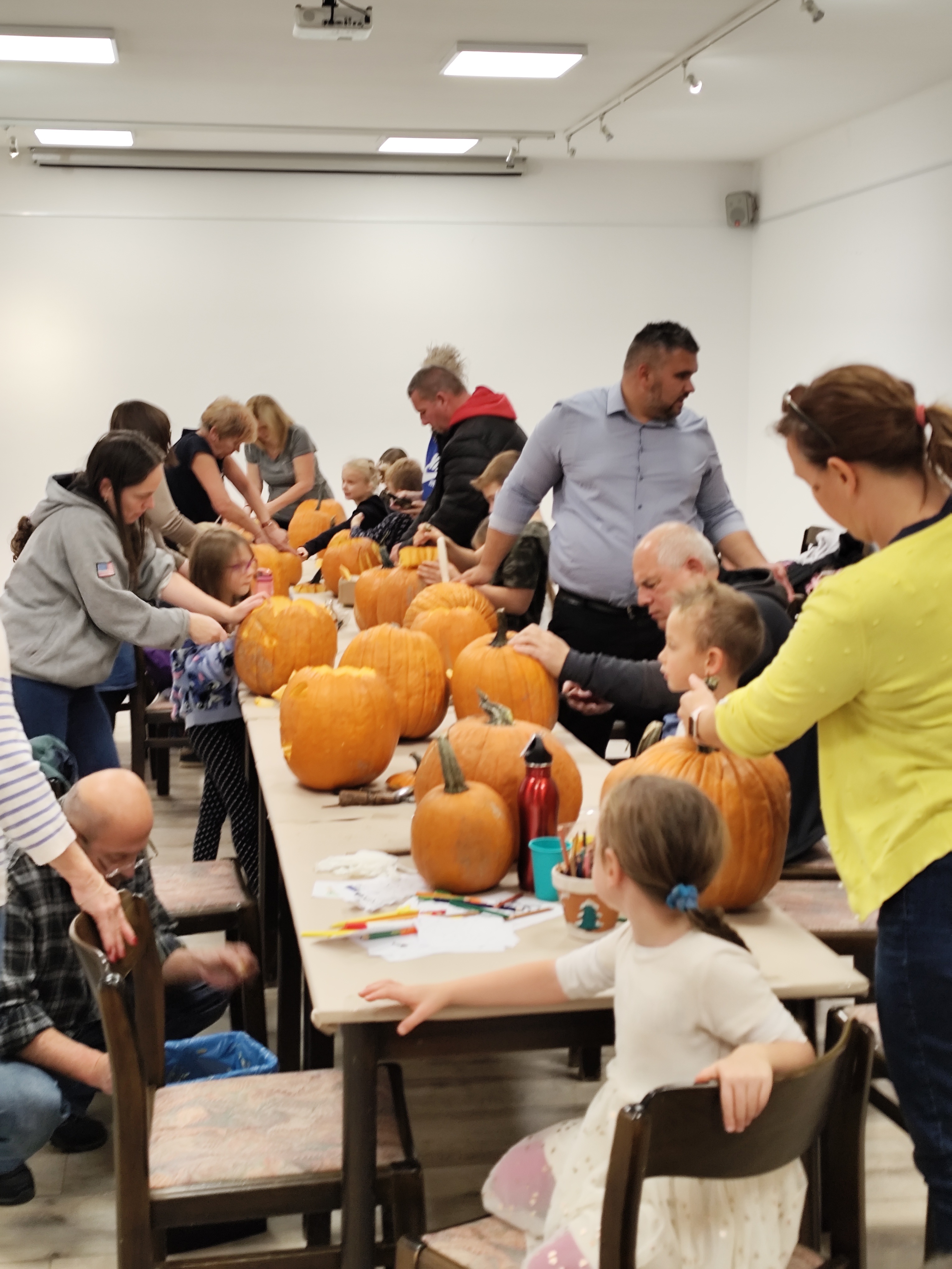 paloznak tokfaragodelutan 1