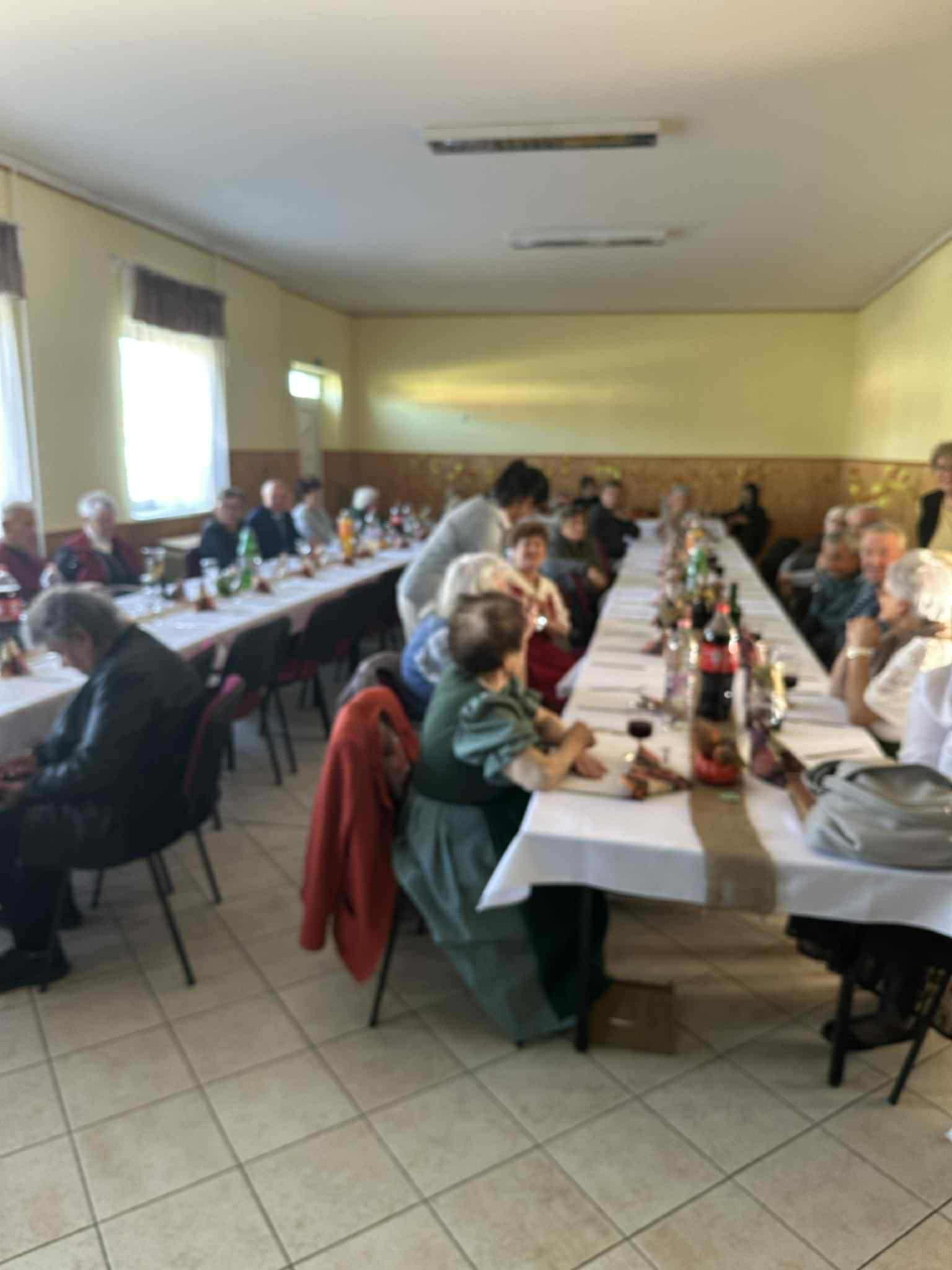 vanyola bakoszoltan 2