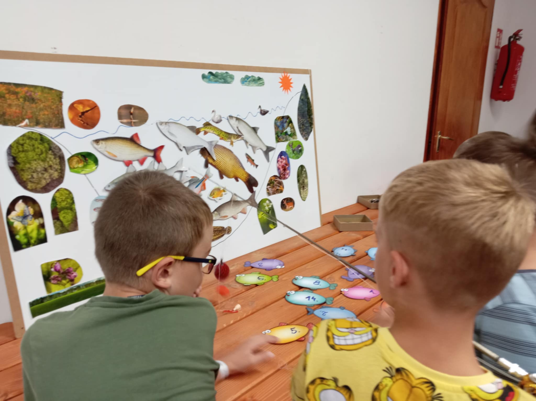 papadereske vagenhoffer tamas 3