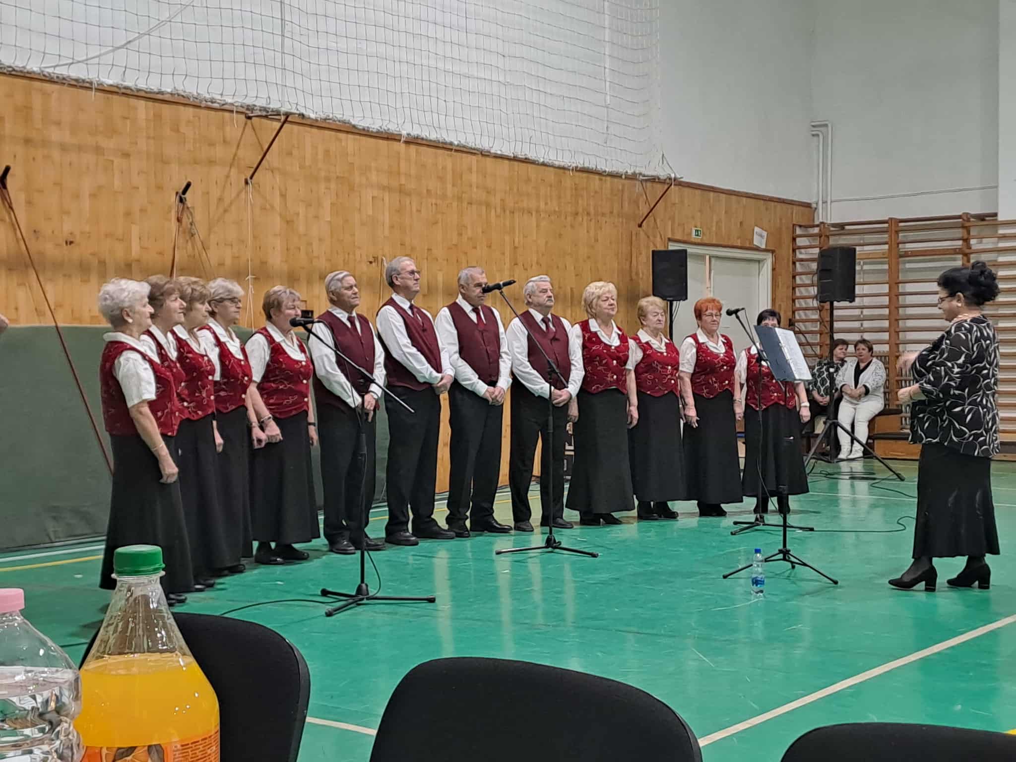 papakovacsi megafon 2